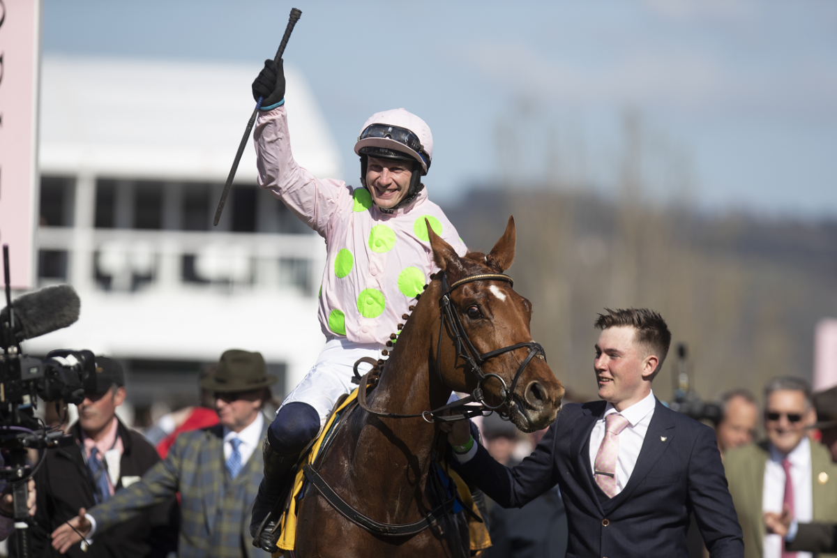 Cheltenham Winners Enclosure